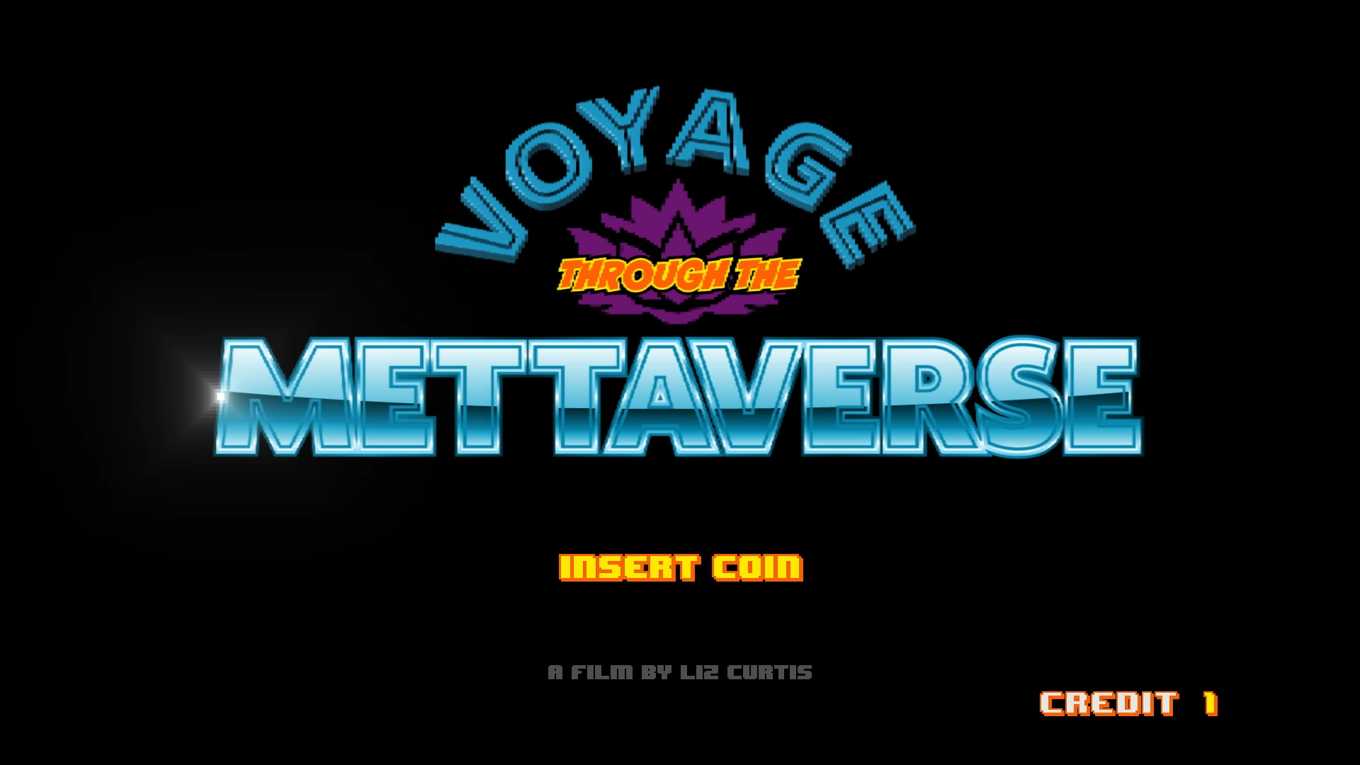 Voyage Through the Mettaverse